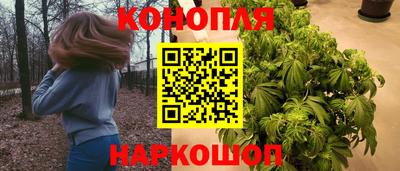 сатива Краснокаменск