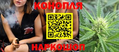 сатива Краснокаменск