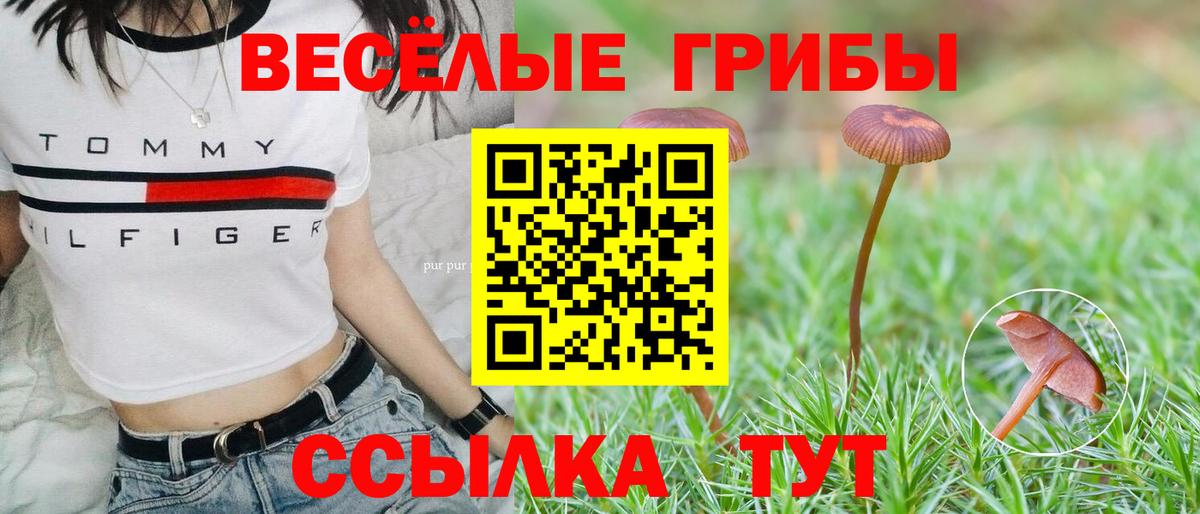 Псилоцибиновые грибы GOLDEN TEACHER Ессентуки