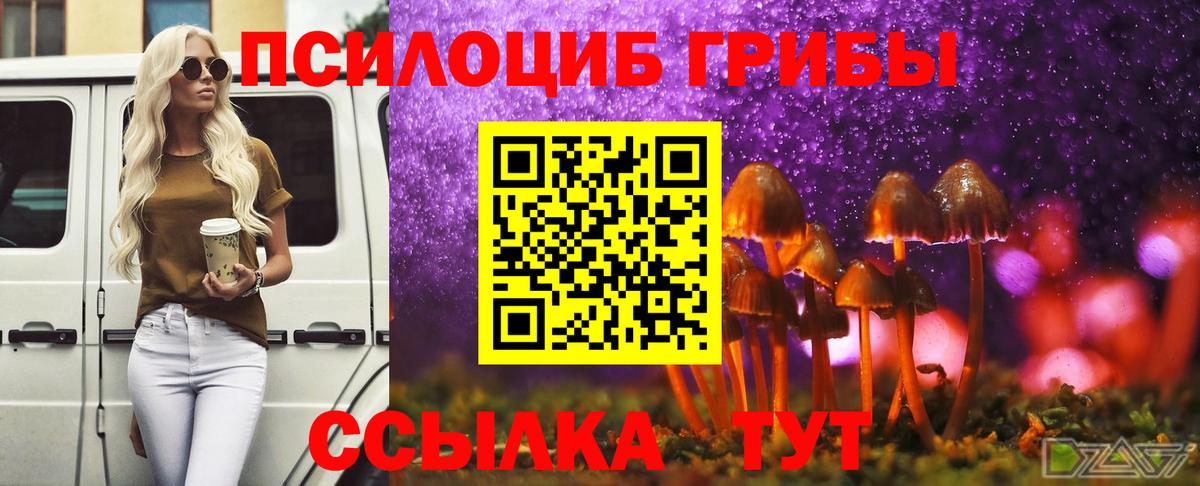 Псилоцибиновые грибы MAGIC MUSHROOMS  Псилоцибиновые грибы мицелий  Вход с VPN  закладки  Ессентуки 